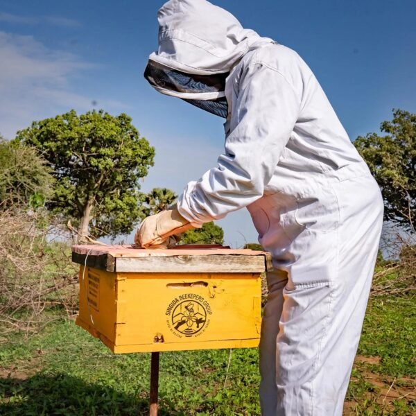 Modern Beehives